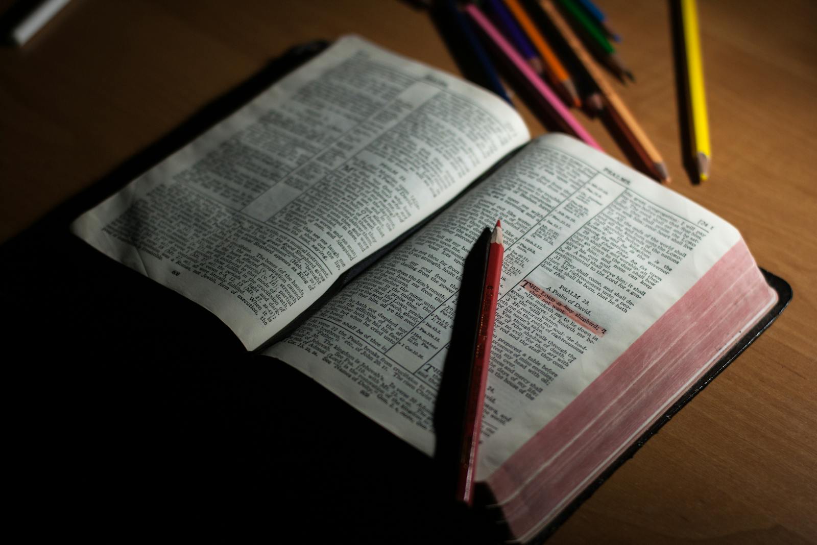 Compressed Timelines and Redeeming the Time: A Sunday Note for Fractional CTOs